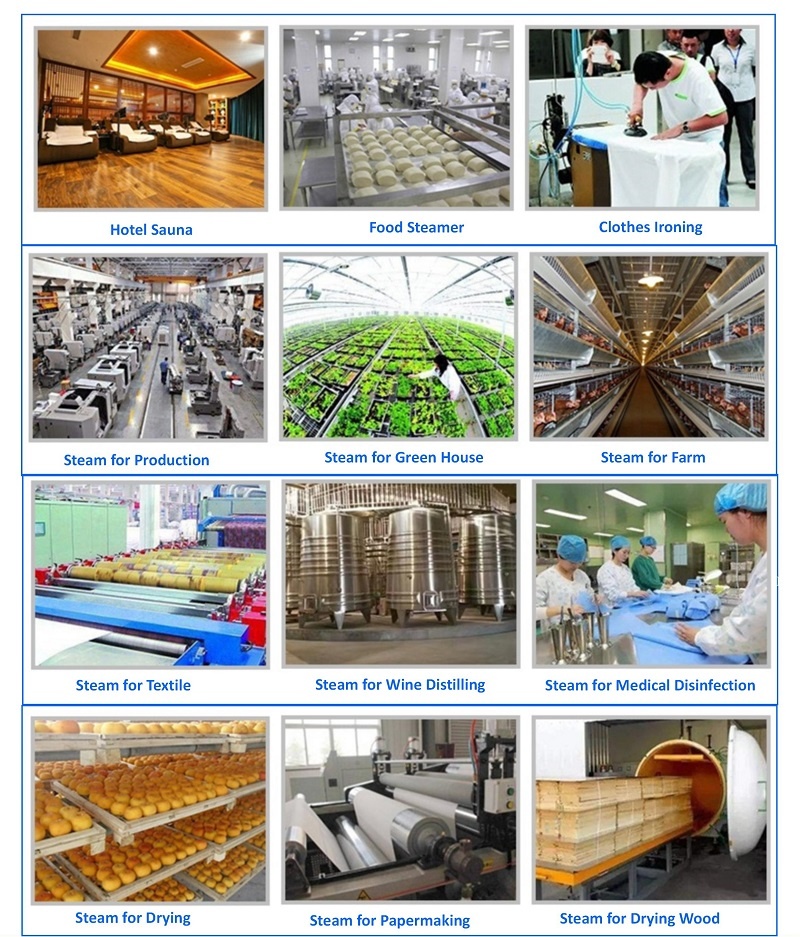 6-15KW NEW DESIGN Electromagnetic Frequency Conversion Energy Storage Induction Heating Steam Generator 6-15KW NEW DESIGN Electromagnetic Frequency Conversion Energy Storage Induction Heating Steam Generator